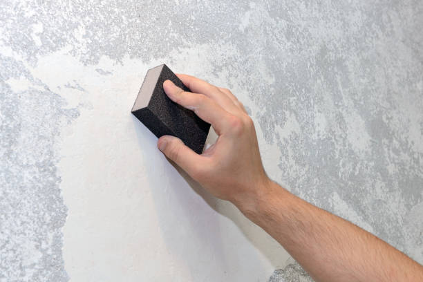 Best Industrial Mold Remediation  in Briar, TX