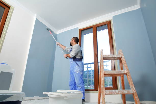 Best Black Mold Removal  in Briar, TX