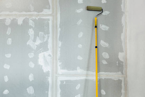 Asbestos and Lead Testing During Mold Inspection in Briar, TX