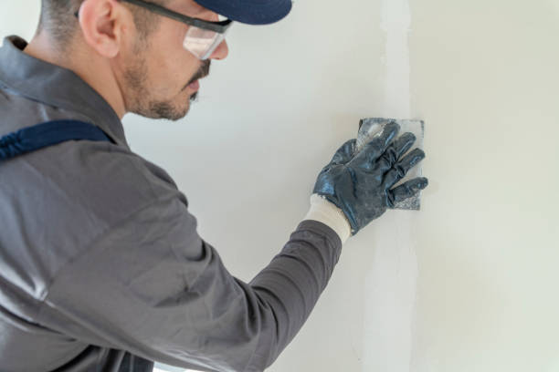 Reliable Briar, TX Mold Removal Solutions